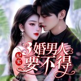 纪实：三婚男人要不得 (MP3-Download)