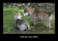 Cover Welt der Tiere 2026 Fotokalender DIN A3