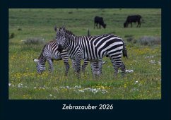 Cover Zebrazauber 2026 Fotokalender DIN A4