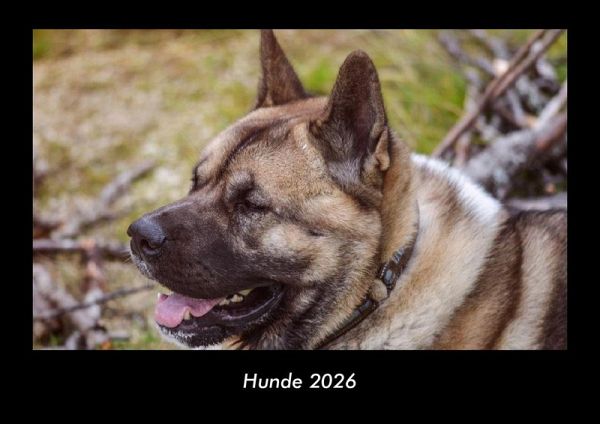 Hunde 2026 Fotokalender DIN A3