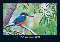 Cover Welt der Vögel 2026 Fotokalender DIN A5
