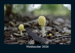 Cover Waldzauber 2026 Fotokalender DIN A5