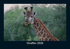 Cover Giraffen 2026 Fotokalender DIN A5