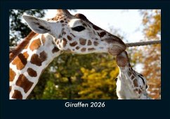 Cover Giraffen 2026 Fotokalender DIN A5