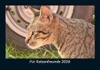 Für Katzenfreunde 2026 Fotokalender DIN A5