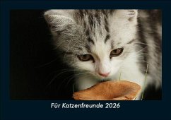 Cover Für Katzenfreunde 2026 Fotokalender DIN A5