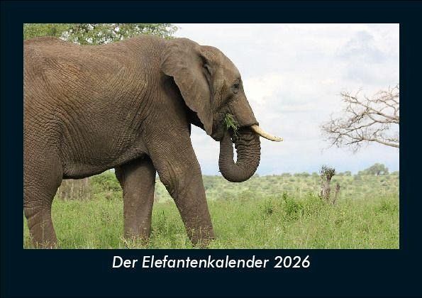 Der Elefantenkalender 2026 Fotokalender DIN A5 Der Elefantenkalender 2026 Fotokalender DIN A5