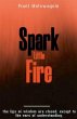 Spark Little Fire - Bild 1
