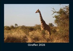 Cover Giraffen 2026 Fotokalender DIN A5