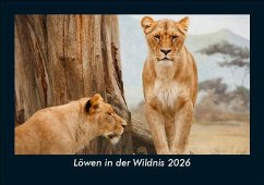 Cover Löwen in der Wildnis 2026 Fotokalender DIN A5