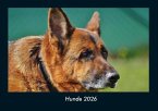 Hunde 2026 Fotokalender DIN A4