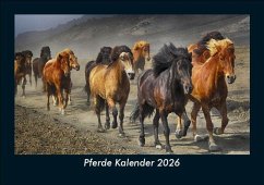 Cover Pferde Kalender 2026 Fotokalender DIN A5