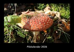 Cover Pilzkalender 2026 Fotokalender DIN A3