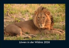 Cover Löwen in der Wildnis 2026 Fotokalender DIN A5