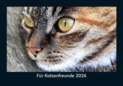 Cover Für Katzenfreunde 2026 Fotokalender DIN A5