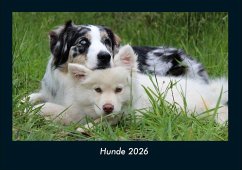 Cover Hunde 2026 Fotokalender DIN A4