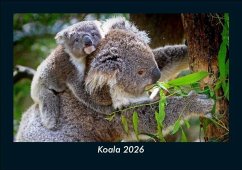 Cover Koala 2026 Fotokalender DIN A5