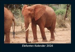 Cover Elefanten Kalender 2026 Fotokalender DIN A5