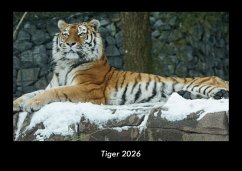 Cover Tiger 2026 Fotokalender DIN A3