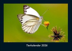 Cover Tierkalender 2026 Fotokalender DIN A4