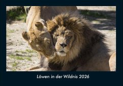 Cover Löwen in der Wildnis 2026 Fotokalender DIN A4