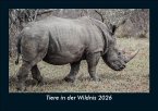 Tiere in der Wildnis 2026 Fotokalender DIN A5