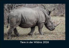 Cover Tiere in der Wildnis 2026 Fotokalender DIN A5