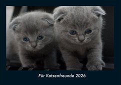 Cover Für Katzenfreunde 2026 Fotokalender DIN A4