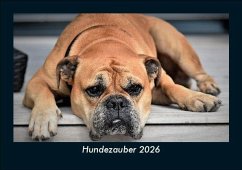 Cover Hundezauber 2026 Fotokalender DIN A5