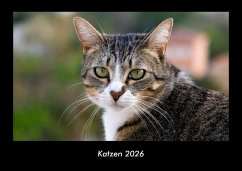 Cover Katzen 2026 Fotokalender DIN A3