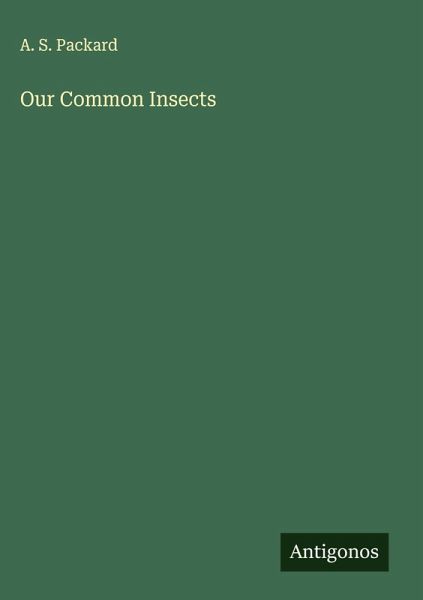 Our Common Insects