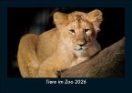 Tiere im Zoo 2026 Fotokalender DIN A5