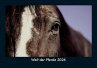 Welt der Pferde 2026 Fotokalender DIN A5 - Bild 1
