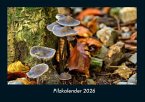 Pilzkalender 2026 Fotokalender DIN A4