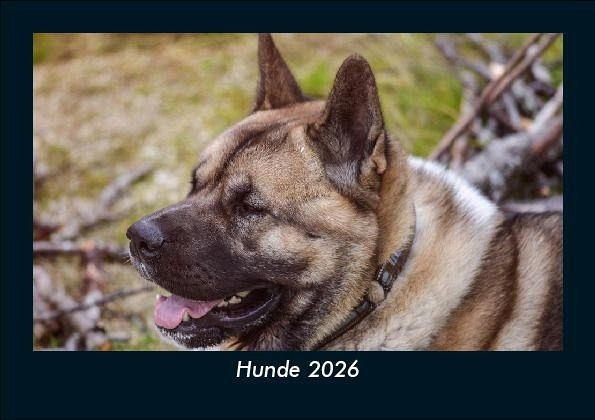 Hunde 2026 Fotokalender DIN A5