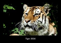 Cover Tiger 2026 Fotokalender DIN A3