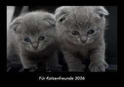 Cover Für Katzenfreunde 2026 Fotokalender DIN A3