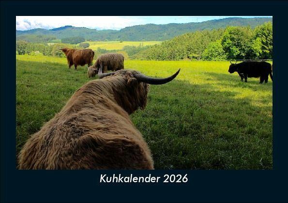 Kuhkalender 2026 Fotokalender DIN A5