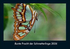 Cover Bunte Pracht der Schmetterlinge 2026 Fotokalender DIN A4