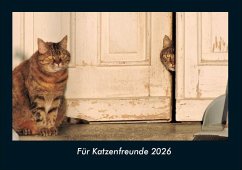 Cover Für Katzenfreunde 2026 Fotokalender DIN A4