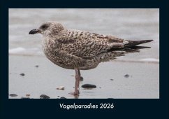 Vogelparadies 2026 Fotokalender DIN A4 - Tobias Becker