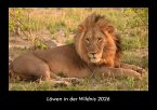 Löwen in der Wildnis 2026 Fotokalender DIN A3
