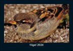 Vögel 2026 Fotokalender DIN A5