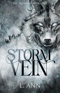 Cover Stormvein