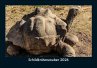 Schildkrötenzauber 2026 Fotokalender... - Bild 1