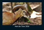 Welt der Tiere 2026 Fotokalender DIN A5 Welt der Tiere 2026 Fotokalender DIN A5