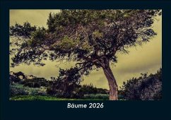 Cover Bäume 2026 Fotokalender DIN A5
