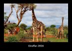 Giraffen 2026 Fotokalender DIN A3