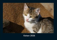 Cover Katzen 2026 Fotokalender DIN A4