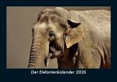 Der Elefantenkalender 2026 Fotokalender DIN A5